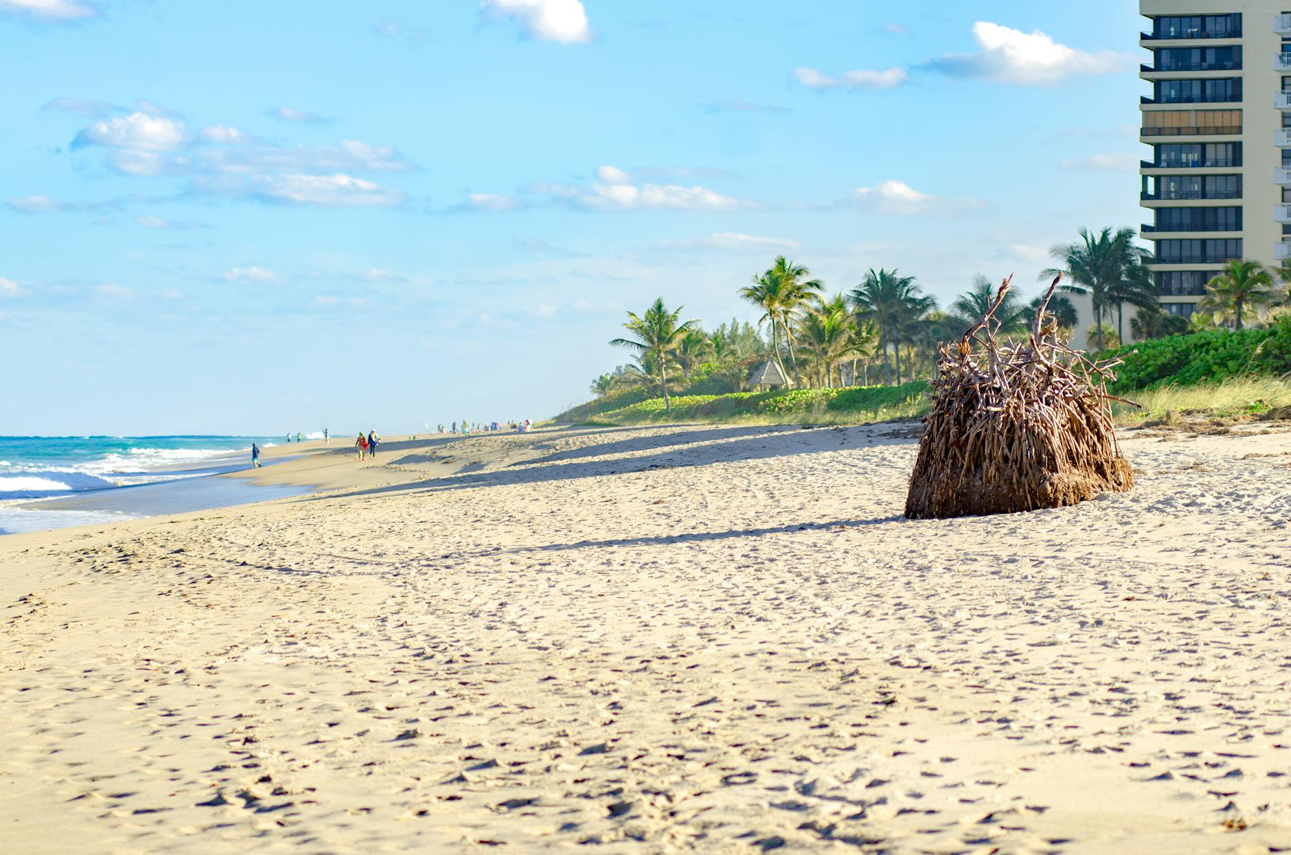 people walking on a beach under a blue sky